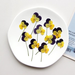 Viola del pensiero con rami fiori secchi in rilievo materiali fai da te cornice di foto epossidica segnalibro pianta esemplare - Product Image 4