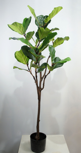 <span class=keywords><strong>Prix</strong></span> de gros : <span class=keywords><strong>Ficus</strong></span> lyrata artificiel en plastique de 80 cm, plante d'extérieur pour centre commercial, hôtel, salle de sport - Product Image 6