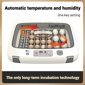 Artificial Intelligence Automatic <strong>Egg</strong>-turning Function <strong>With</strong> Fnd Display Hatching <strong>Machine</strong> Rcom Max 50 Fnd Display Chick Incubator - Product Image 3