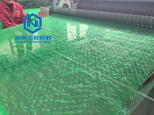Tapis de contrôle de l'érosion des sols 3D Geomat Protection des pentes 3D Produits de terrassement pour le paysage - Product Image 6