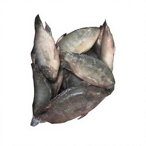 VAN BACH TUNG Pescado Congelado Entero Premium 1kg Alta Calidad Alto Valor Nutricional 100% Natural Envasado al Vacío Vietnam 12+ Meses de Caducidad - Product Image 1