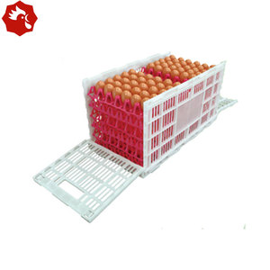 <span class=keywords><strong>ลัง</strong></span>ขนส่งอเนกประสงค์แบบพับได้ 360 ชิ้น ดีไซน์ประหยัดพื้นที่สำหรับการส่งคืนแบบเปล่า รองรับถาดไข่มาตรฐานสำหรับฟาร์มสัตว์ปีก - Product Image 1