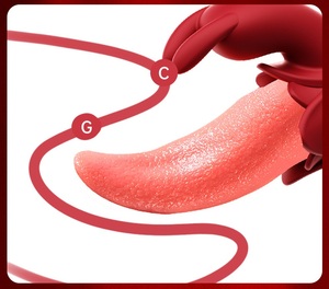 Vibrador de Conejo 2 en 1 para Mujer, Venta Directa de Fábrica, Silicona Médica, Impermeable IPX7, Modelo VB025, para Punto G, Clítoris y Labios - Product Image 5