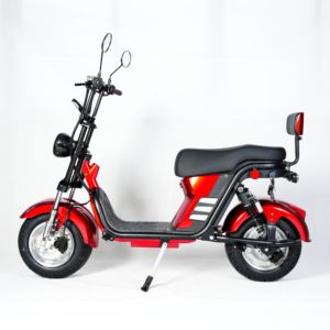 Maxwheel <span class=keywords><strong>E9d</strong></span> E électrique pour adultes 1000W Scooters électriques usine de Chine - Product Image 1