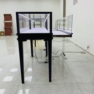 <span class=keywords><strong>Vitrine</strong></span> en verre à cadre en métal noir avec éclairage LED pour <span class=keywords><strong>figurines</strong></span> de bijoux de collection-Cabinet de <span class=keywords><strong>vitrine</strong></span> verrouillable - Product Image 6