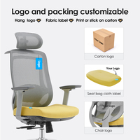 Service OEM/ODM, chaise de bureau ergonomique confortable avec support lombaire 2D, chaises de bureau en mesh pour bureau, CE ISO
