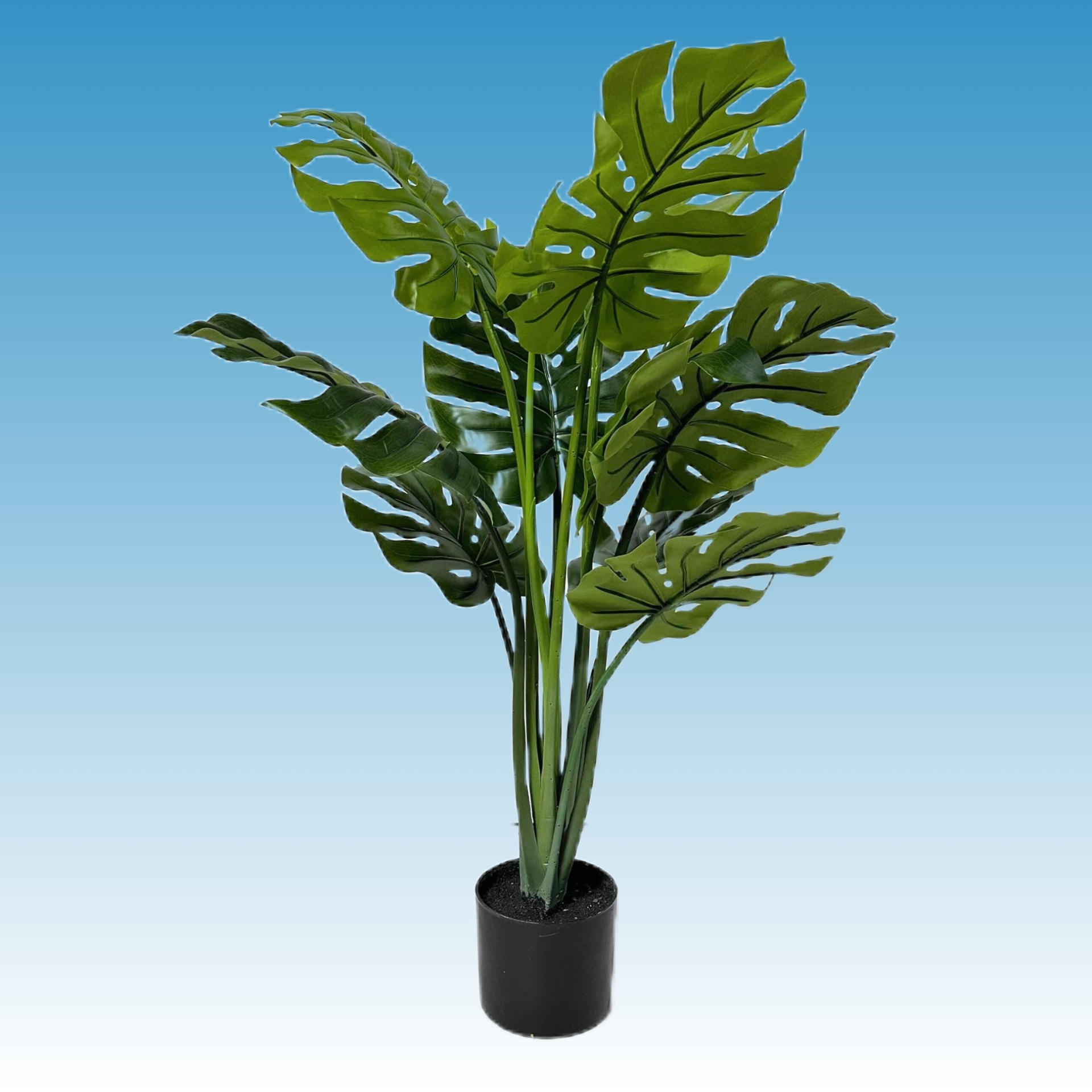 90cm tortue tuftée dos 10 feuilles avec bassin noir