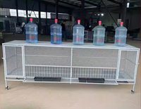 Cage d'élevage extérieure pour animaux domestiques avec treillis métallique, conception anti-furets pour poulets, canards, lapins et cailles boutonnières