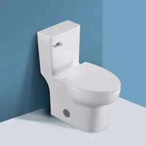US Drop Shipping hotel floor mounted one piece dual flush sanitary ware ceramic sit closestool toilet bathroom commode toilet