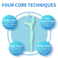 Bâtonnets de fil dentaire en nylon saveur menthe, 100 unités, portables, bandes nettoyantes pour les dents, solides, incassables, biodégradables, pour l'hygiène buccale