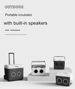 2025 Hot 13L Âm Thanh Mới Cách Điện Xách Tay <span class=keywords><strong>Cube</strong></span> Tủ Lạnh Hộp Thực Phẩm Ice Cooler Với Loa Cho Ngoài Trời Cắm Trại Câu Cá - Product Image 2