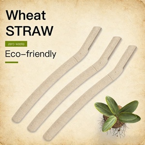 Rasoir à sourcils pour femmes en paille de blé biodégradable, outil d'épilation du visage respectueux de l'environnement - Product Image 2