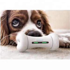 2024 new project WICKEDBONE: World s First Smart & Interactive Dog Toy
