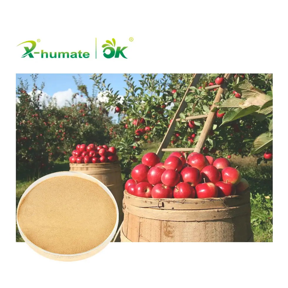 X-huamte Fertilizante em Pó Foliar 100% Solúvel em Água Fonte Vegetal Aminoácido 80% Fertilizante Orgânico