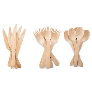 China Manufacturers Wholesale Eco Friendly Biodegradable Disposable Wooden Cutlery Set