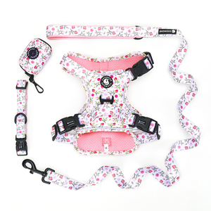 Harnais réglable de qualité supérieure pour collier de chien <span class=keywords><strong>Bandanas</strong></span> et porte-sacs à crottes Laisse de harnais de chien Mix and Match personnalisée pour l'entraînement à la marche - Product Image 3
