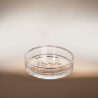 Porte-savon en verre transparent rond et plat personnalisé en usine, plateau porte-savon de salle de bain, verrerie personnalisée avec contour et logo couleur sur mesure