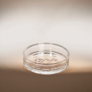 Portasapone in Vetro Trasparente Piatto e Rotondo Personalizzato, Vassoio Portasapone da Bagno, Vetreria con Contorno e Logo Personalizzati - Product Image 2