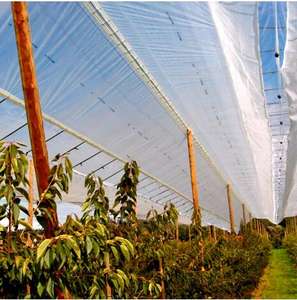 Nouveaux produits : <span class=keywords><strong>Filet</strong></span> <span class=keywords><strong>anti</strong></span>-<span class=keywords><strong>grêle</strong></span> pour vergers et maisons, protection <span class=keywords><strong>anti</strong></span>-givre - Product Image 1