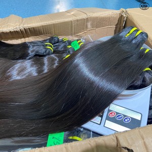 Extensions de <span class=keywords><strong>cheveux</strong></span> vierges non traités, bruts, d'un seul donneur vietnamien, qualité salon, vente en gros - Product Image 1