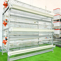 Vente Rtl Coop couveuse de type H poulets éleveur de volailles Cage de ponte de poulets pour batterie fermes de ponte ferme Cage de ponte de poulets