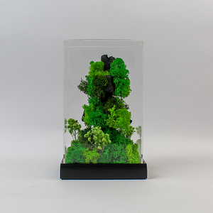 Terrarium vertical avec mousse et fleurs préservées, 5,5 x 5,5 x 9 pouces, couvercle en acrylique, décoration écologique - Product Image 4