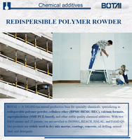 VINNATE DP-F218 VAE RDP Poudre de polymère redispersible EVA pour revêtement adhésif polymère à base de ciment