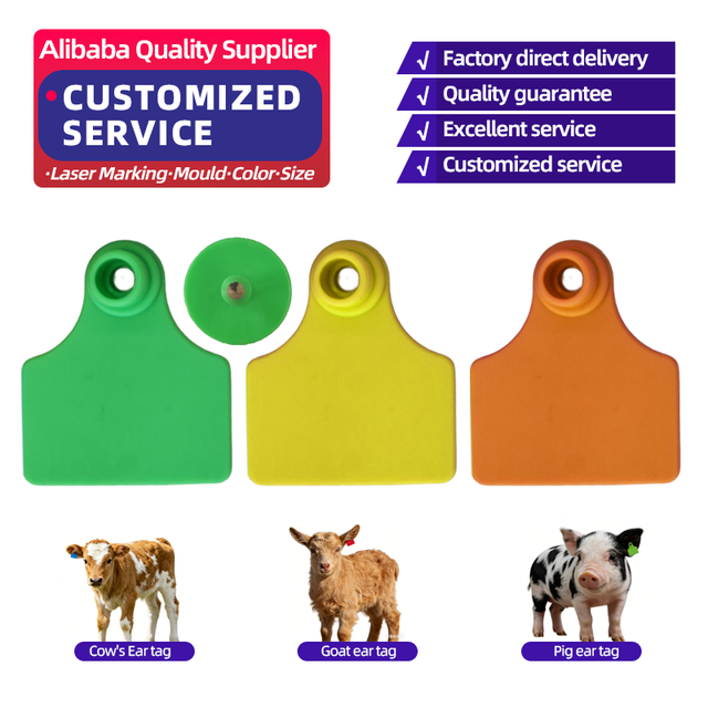 Durable Animal Ear Tags with Metal Tip for Livestock Cattle Pig Goat Sheep Identification & Tracking