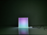 Boîte à lumière LED RGB personnalisée OEM, sculpture lumineuse 3D pour magasin de détail, restaurant, hôtel, intérieur