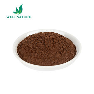 Extrait de champignon de haute qualité, champions, phelinus linteus, 1 pièce - Product Image 2