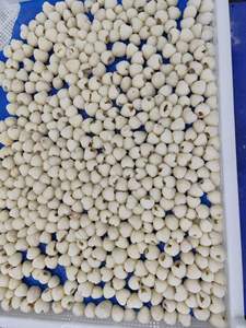Litchis entiers surgelés IQF de qualité supérieure pour la vente au détail en supermarché et sous marque privée - Product Image 3
