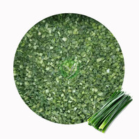 Poireau surgelé IQF XMSD, ingrédient de qualité export pour les producteurs de plats préparés et les applications de transformation alimentaire industrielle