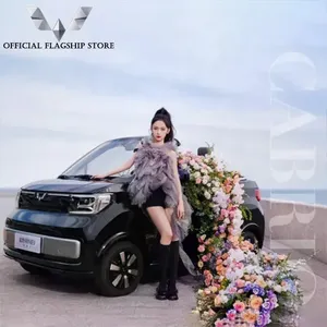<span class=keywords><strong>Wuling</strong></span> Hongguang Miniev <span class=keywords><strong>Cabrio</strong></span> 288km <span class=keywords><strong>Mini</strong></span> <span class=keywords><strong>Ev</strong></span> <span class=keywords><strong>Wuling</strong></span> Air Voitures électriques quatre places à vendre - Product Image 4