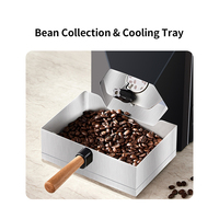 Torréfacteur à café électrique domestique Skywalker Factory Supply, certifié CE, contrôlé par application, en acier inoxydable, économe en énergie, 2e génération