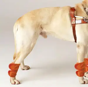 Ginocchiere calde per animali domestici regolabili tutore per cinturino di recupero ecologico scaldamuscoli supporto per ginocchiera per cani