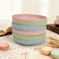 Plaque en silicone jetable de qualité alimentaire durable résistante à la chaleur sans BPA gravure personnalisée sans danger pour restaurant fête usage domestique