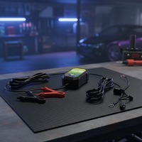 Chargeur de batterie au plomb 12V 6V de haute qualité avec connexion allume-cigare, charge rapide pour voiture et véhicule 220V