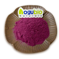 Poudre de fruits de myrtilles sauvages biologiques lyophilisés de qualité alimentaire en gros 1 kg