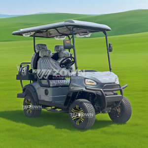 Carrito de golf eléctrico premium para 4 pasajeros, elevado, para servicio de transporte en áreas panorámicas al aire libre - Product Image 4