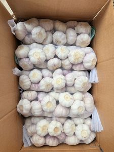 Ajo Blanco Puro Fresco al por Mayor Directo de Fábrica China, Empaque a Granel 5.0cm 5.5cm 6.0cm, Ajo Fresco en Bolsa de Malla - Product Image 6