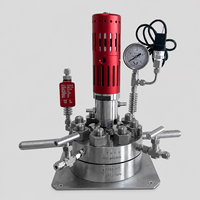 Cuve de réaction chimique de laboratoire en alliage personnalisable ZN-FJ, certifiée GB/T 150, avec agitateur magnétique mécanique