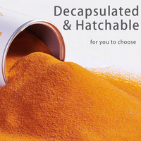 Yee Factory Vente en gros Aliment pour petits poissons Œufs de crevettes décapsulés Daphnia Artemia Nourriture pour poissons