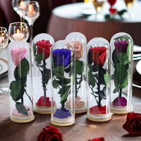 Rose unique préservée de qualité supérieure, fleur naturelle, cadeau pour la fête des mères, Pâques, anniversaire, Noël, anniversaire de mariage, remise de diplôme