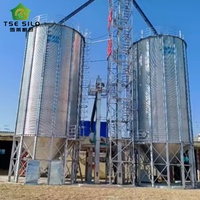 Silo à fond trémie en acier galvanisé pour le stockage de maïs, de soja et de tourteaux de soja pour l'alimentation du bétail et les usines d'aliments pour animaux