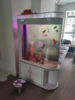 Großhandel maßge schneiderte große neue Glas 75 Gallonen Aquarium Faser Aquarium