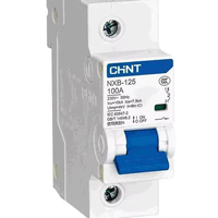 Disjoncteur CHINT NXB-125 1P DC 1000V MCB 100A 80A Courbe D Matériau PA66 Capacité de coupure 10kA Protection Li Montage sur rail