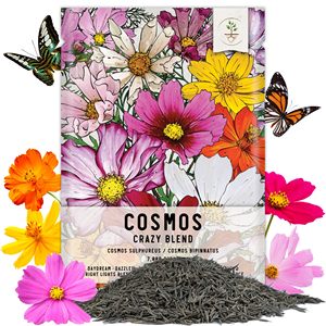 Wildflower Mix Paquete a granel para jardín y uso en exteriores Condición de árbol Atrae abejas Mariposas y monarcas <span class=keywords><strong>Cosmos</strong></span> <span class=keywords><strong>Bipinnatus</strong></span> - Product Image 1