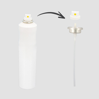Bouteilles aérosols en aluminium vides durables, capacité personnalisable 200 ml 250 ml, pour laque capillaire, mousse et gel douche