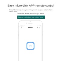 Module d'interrupteur intelligent WiFi evelink RM-7 à un seul bouton, commande vocale à distance par téléphone portable, contrôle double à une/deux/trois voies