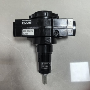 รุ่นดั้งเดิมและรุ่นใหม่ V68H Relief V68H-8GD-RMN - Product Image 2